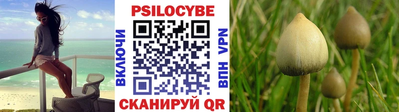 Галлюциногенные грибы MAGIC MUSHROOMS  как найти   ссылка на мегу как войти  Котельнич 